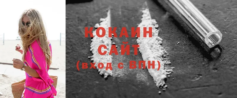 мега как зайти  закладка  Донецк  Cocaine Fish Scale 